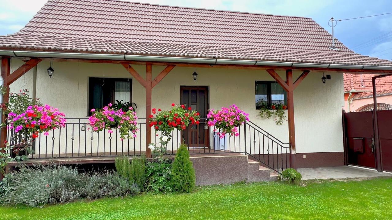 Siebenbuerger Haus Βίλα Σίμπιου Εξωτερικό φωτογραφία
